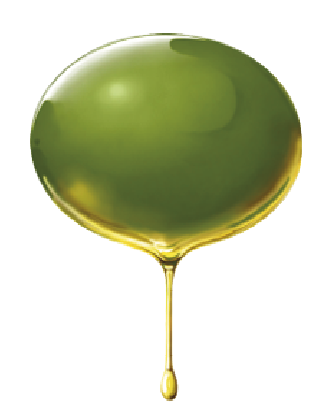 Olive mit Öltropfen