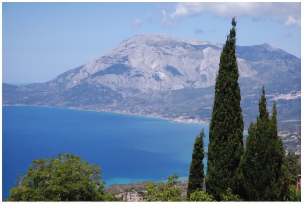 Olivenbäume an der Steilküste von Samos mit Blick auf das Meer